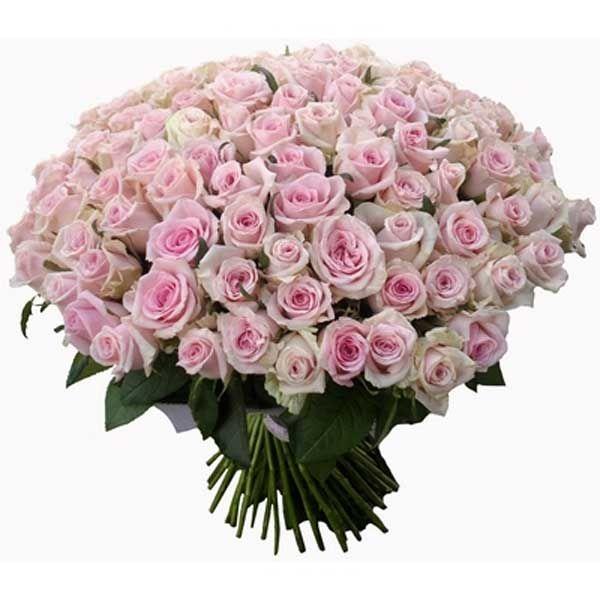 Enchanted Garden: Symphony in Petals 